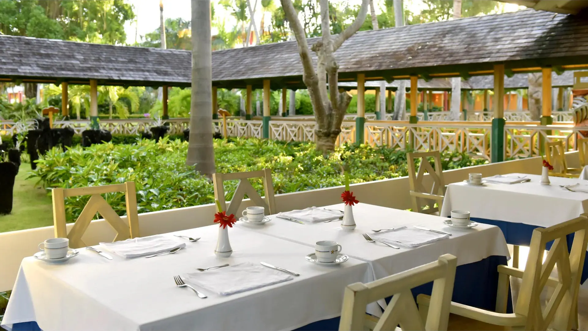 Iberostar Waves Dominicana 바바로 도미니카 공화국